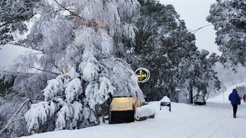 Feathertop Alpine Lodge - Accommodation Mount Tamborine 0