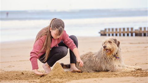 Front Beach Torquay Beach Houses - Accommodation Mount Tamborine 4