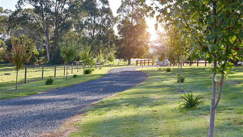 Neerim Chateau - Accommodation Mount Tamborine 6