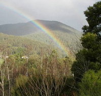 Wattletree Cottage - Accommodation Mount Tamborine