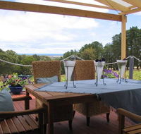 Blue Grape Vineyard Accommodation - Accommodation Mount Tamborine
