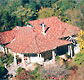 Broomelea Bed  Breakfast - Accommodation Mount Tamborine