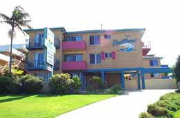 Caribbean Motel - Accommodation Mount Tamborine 4