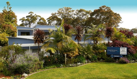 CeeSpray On Owen - Accommodation Mount Tamborine 8
