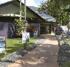 Cool Waters Holiday Park - Accommodation Mount Tamborine