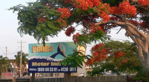 Pialba Motor Inn - Accommodation Mount Tamborine 8