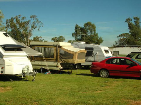 Crocodile Caravan  & Camping Park - Accommodation Mount Tamborine 0