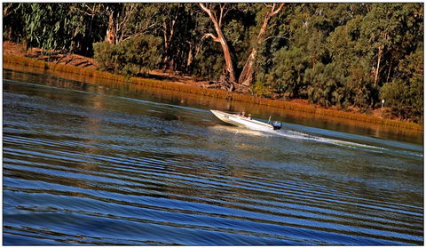 Euston Club Cabin Resort - Accommodation Mount Tamborine 7