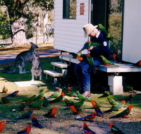 Inland Waters Holiday Parks Burrinjuck - Accommodation Mount Tamborine
