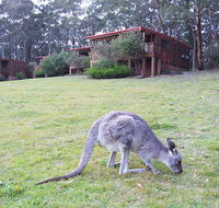 Jenolan Caves Cottages - Accommodation Mount Tamborine