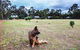 Margaret River Stone Cottages - thumb 4