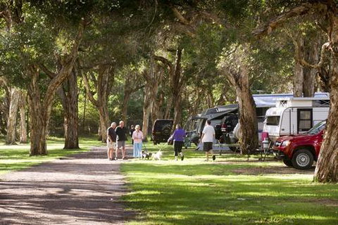 North Coast Holiday Parks Beachfront - Accommodation Mount Tamborine 2