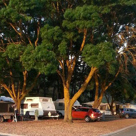 Queen Victoria Jubilee Park - Accommodation Mount Tamborine 0