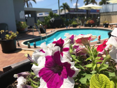 Main Street Motel - Accommodation Mount Tamborine 0