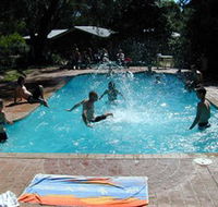 Koala Park - Accommodation Mount Tamborine