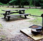 Bellbird campground