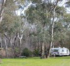 Culcairn Caravan Park - Accommodation Mount Tamborine