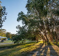 Delicate campground - Accommodation Mount Tamborine