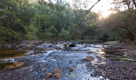 Deua River Campgrounds - Deua - Accommodation Mount Tamborine 1