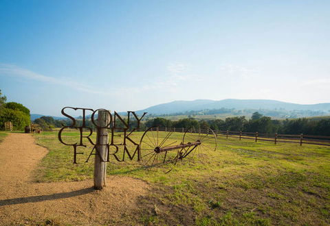 Stony Creek Farm B&B - Accommodation Mount Tamborine 2