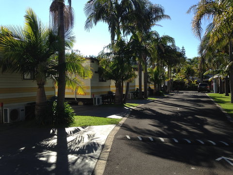 Sussex Palms Holiday Park - Accommodation Mount Tamborine 3