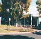 Tamwell Motel - Accommodation Mount Tamborine