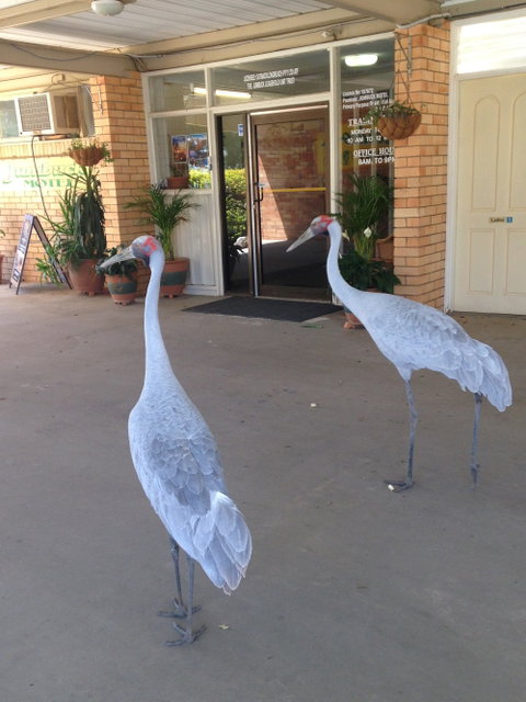 Jumbuck Motel Longreach - Accommodation Mount Tamborine 4