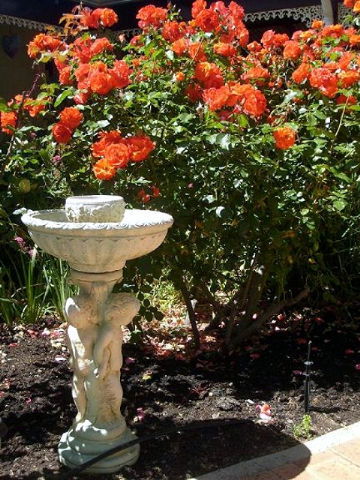 The Noble Grape - Accommodation Mount Tamborine 3