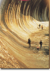 Wave Rock Hotel Motel - Accommodation Mount Tamborine 2