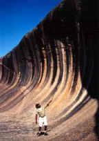 Wave Rock Hotel Motel - Accommodation Mount Tamborine 3