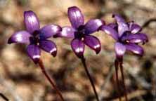 Wave Rock Hotel Motel - Accommodation Mount Tamborine 7