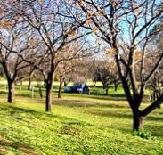 Wellington Caves Caravan Park - Accommodation Mount Tamborine