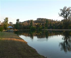 Mumbles - Accommodation Mount Tamborine 3