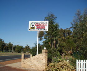 Pinjarra Cabins And Caravan Park - Accommodation Mount Tamborine 2