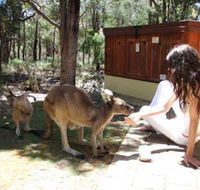 Yelverton Brook Eco Spa Retreat and Conservation Sanctuary - Accommodation Mount Tamborine
