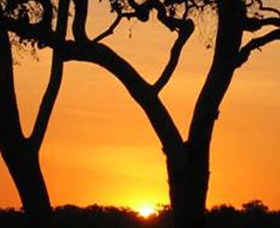 Coodardie Station Stay - Accommodation Mount Tamborine 2
