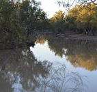 Four Mile Camping Reserve - Accommodation Mount Tamborine
