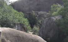 Goat Rock Camping Ground And Tourist Park - Accommodation Mount Tamborine 3
