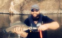 Good Hope Resort - Accommodation Mount Tamborine 0