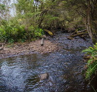 Horse Swamp campground - Accommodation Mount Tamborine