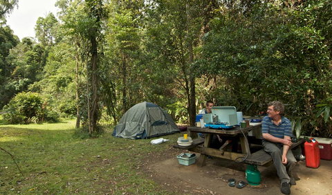 Sheepstation Creek Campground - Accommodation Mount Tamborine 1