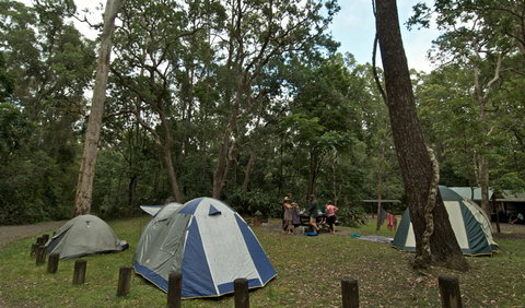 Sheepstation Creek Campground - Accommodation Mount Tamborine 2
