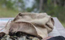 The Escape Luxury Camping - Accommodation Mount Tamborine 1