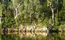 The Escape Luxury Camping - Accommodation Mount Tamborine 5