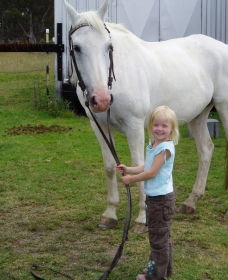 Three Waters High Country Holidays - Accommodation Mount Tamborine 0