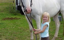 Three Waters High Country Holidays - Accommodation Mount Tamborine 2