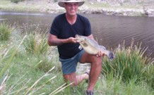 Three Waters High Country Holidays - Accommodation Mount Tamborine 1