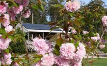 Tyrra Cottage Bed And Breakfast - Accommodation Mount Tamborine 2