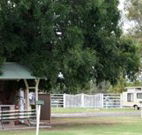 Warialda Caravan Park - Accommodation Mount Tamborine