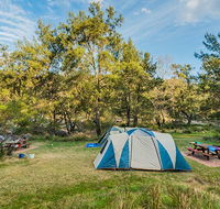 Warrabah Campground and Picnic Area - Accommodation Mount Tamborine
